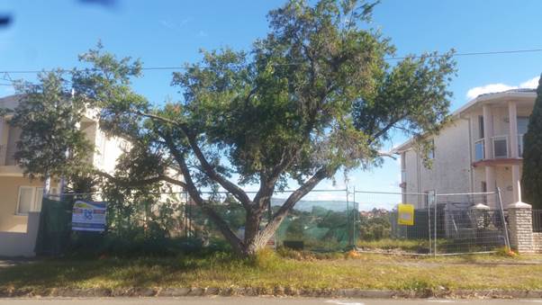 Description: C:\Users\mraymundo\Desktop\7 Wharf Road Photos\20180531_120007.jpg