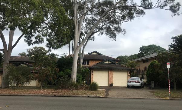 A tree in a parking lot

Description automatically generated