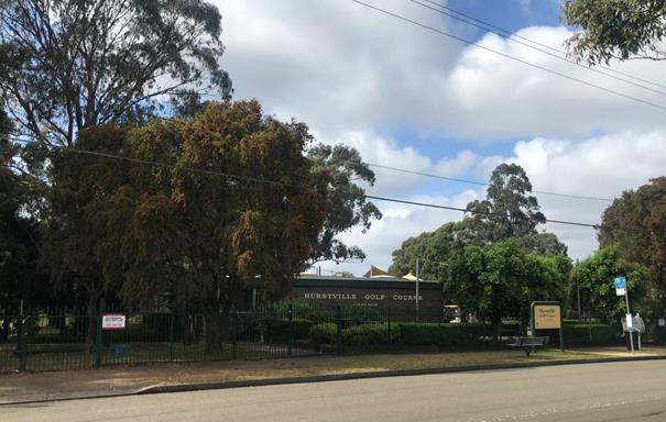 An empty road with trees on the side of the street

Description automatically generated